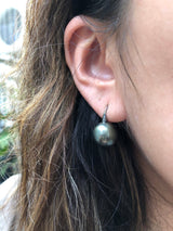 Classic Black Pearl Hook Drop Earrings